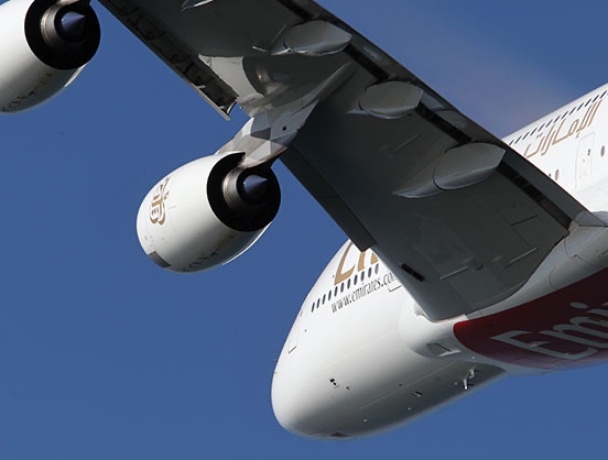 EnvironmentalSustainability-Strategy-552x418