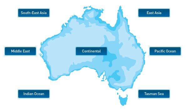 Flight-planning-options